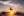 Butterfly Sunset